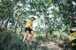 BIB: 
                            <button type="button" onclick="openModal(25986188)" class="btn btn-primary btn-sm float-right btn-popup" data-toggle="modal" data-target=".modal-high-quality">
                        <i class="fas fa-shopping-cart"></i> Add to Cart
                    </button>
                                            <button type="button" onclick="isThisMe(25986188, true)" class="btn btn-success btn-sm float-right btn-popup btn-isme hidden" data-toggle="tooltip" data-placement="bottom" title="นี่คือรูปของคุณใช่ไหม คลิกที่นี่เพื่อเอาเข้าอัลบั้ม">
                        <i class="fas fa-plus"></i> Add to album
                    </button>
                    <button type="button" onclick="isThisMe(25986188, false)" class="btn btn-warning btn-sm float-right btn-popup btn-isnotme hidden">
                        <i class="fas fa-ban"></i> Remove from album
                    </button>